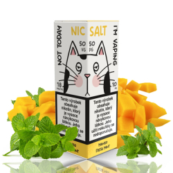 10 ml Not Today Salt - Mango Fresh Mint 18 mg/ml